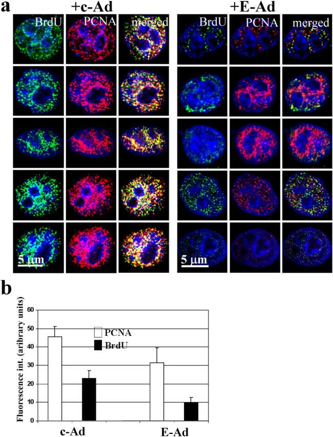 https://cdn.ncbi.nlm.nih.gov/pmc/blobs/f31f/2172392/8cc484d9fb8f/200404092f2.jpg