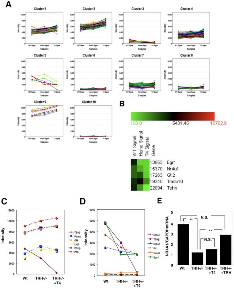 https://cdn.ncbi.nlm.nih.gov/pmc/blobs/f31f/3392219/4adf1ebd26e4/pone.0040437.g002.jpg