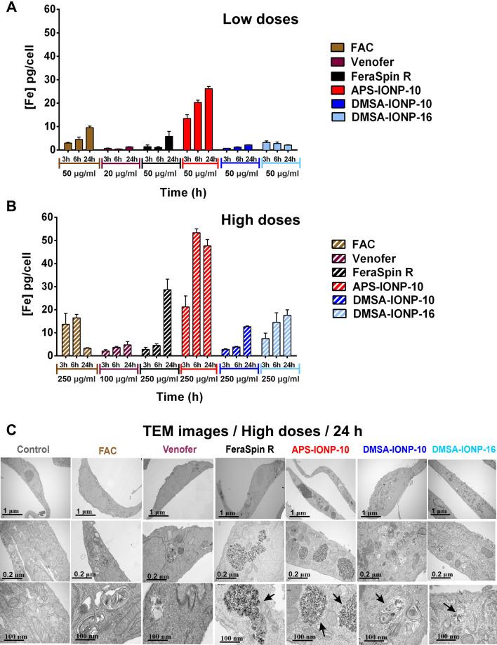 https://cdn.ncbi.nlm.nih.gov/pmc/blobs/f31f/9338509/30f206605806/12951_2022_1542_Fig3_HTML.jpg
