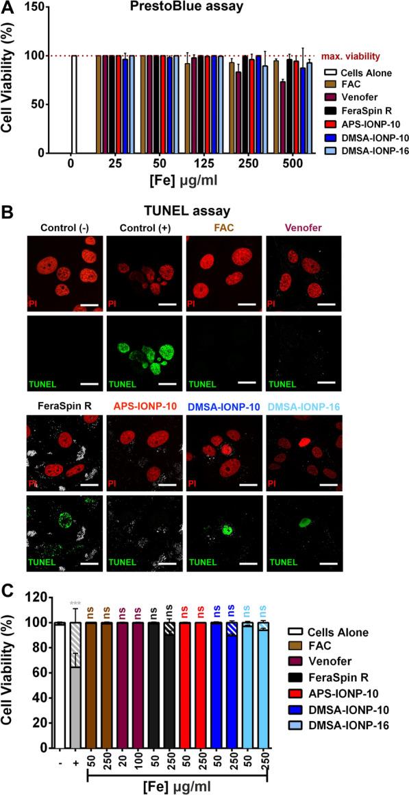 https://cdn.ncbi.nlm.nih.gov/pmc/blobs/f31f/9338509/bbc643936a5b/12951_2022_1542_Fig2_HTML.jpg