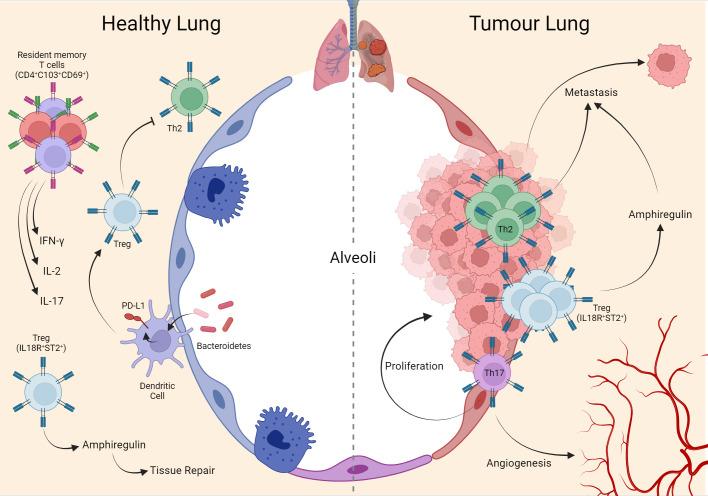 https://cdn.ncbi.nlm.nih.gov/pmc/blobs/f320/11058666/f3029835ed5d/fimmu-15-1379376-g001.jpg