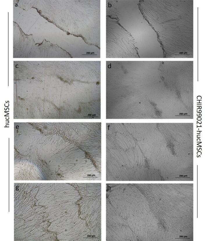 https://cdn.ncbi.nlm.nih.gov/pmc/blobs/f321/12008493/1122a9e3155b/bi-15-30600-g004.jpg