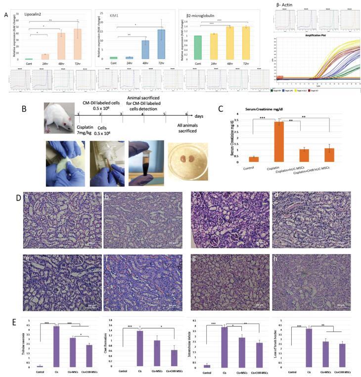 https://cdn.ncbi.nlm.nih.gov/pmc/blobs/f321/12008493/bc9068c6796f/bi-15-30600-g005.jpg