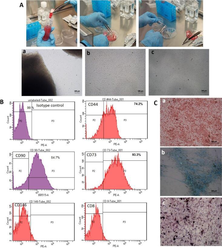 https://cdn.ncbi.nlm.nih.gov/pmc/blobs/f321/12008493/fb5c99cf78ee/bi-15-30600-g001.jpg