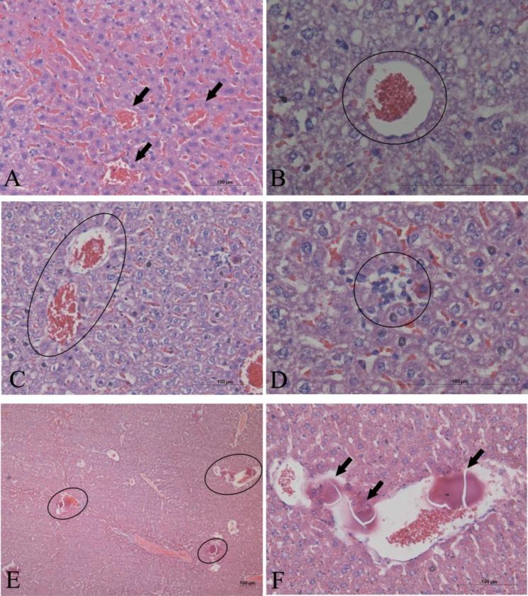 https://cdn.ncbi.nlm.nih.gov/pmc/blobs/f324/3917284/043cf066d936/marinedrugs-12-00508-g003.jpg