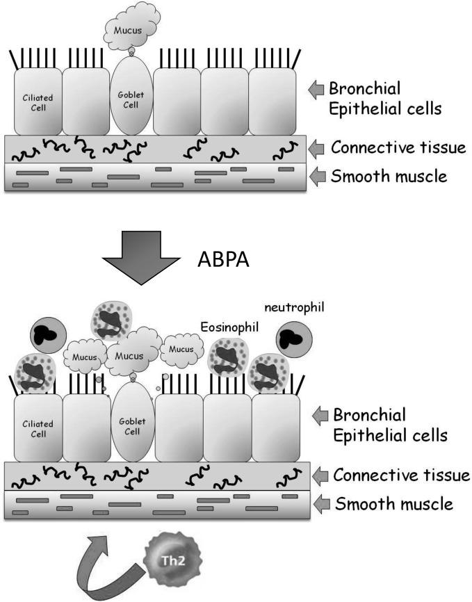 https://cdn.ncbi.nlm.nih.gov/pmc/blobs/f326/3458433/ed6f93cee653/fmicb-03-00346-g0001.jpg