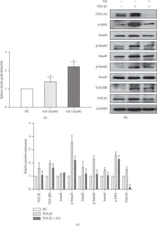 https://cdn.ncbi.nlm.nih.gov/pmc/blobs/f326/7240796/787cf8f83882/ECAM2020-3156267.005.jpg