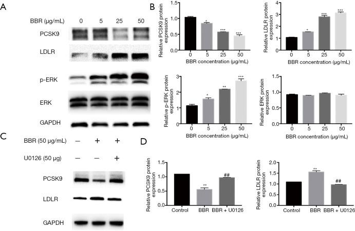https://cdn.ncbi.nlm.nih.gov/pmc/blobs/f326/8576642/8cbdc9b61381/atm-09-20-1517-f6.jpg