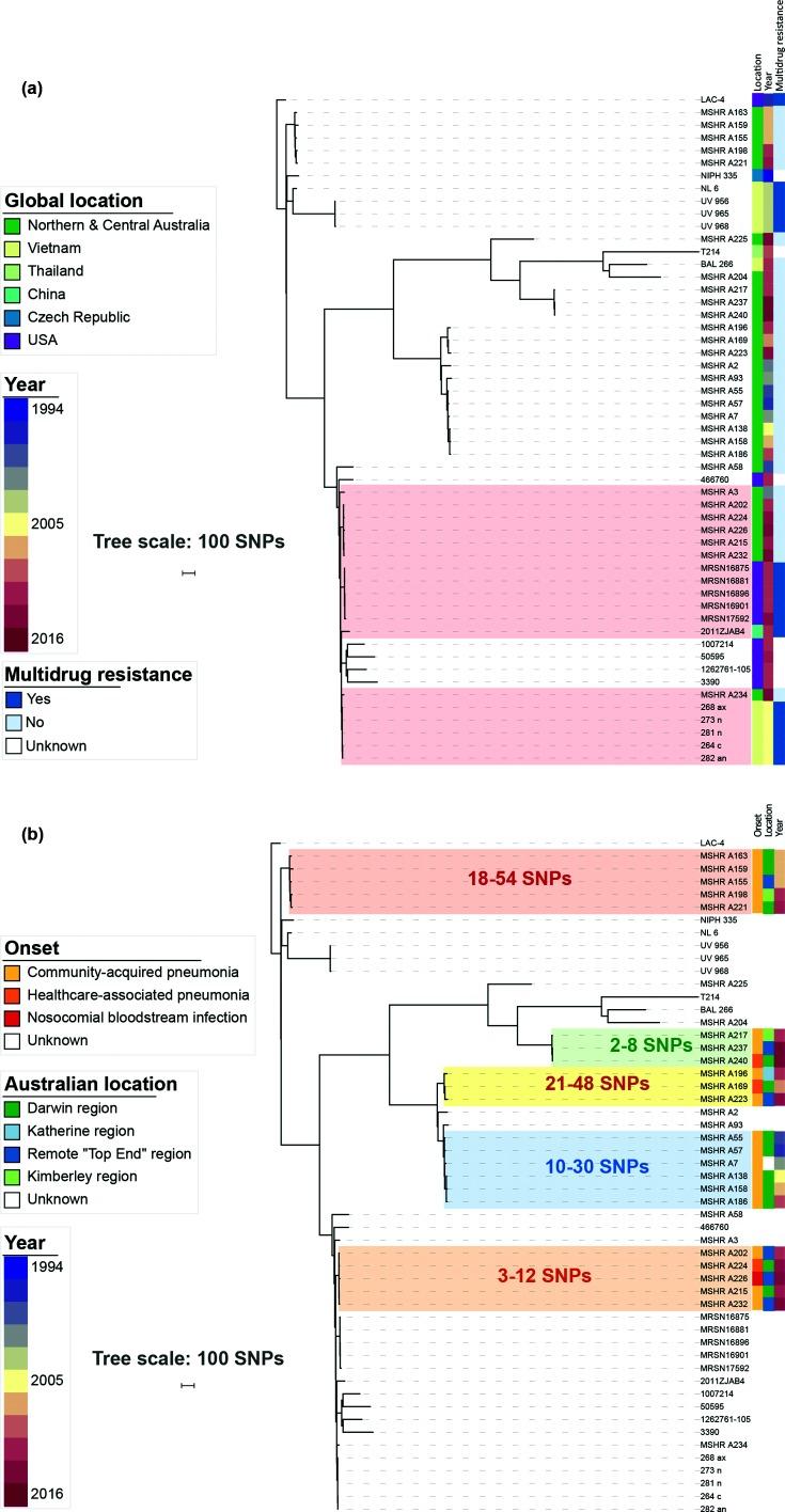 https://cdn.ncbi.nlm.nih.gov/pmc/blobs/f327/6487312/695c626a09db/mgen-5-258-g002.jpg