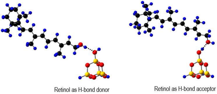 https://cdn.ncbi.nlm.nih.gov/pmc/blobs/f32a/10298575/d2fd5ccfff81/ijms-24-09885-g005.jpg