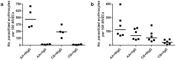 https://cdn.ncbi.nlm.nih.gov/pmc/blobs/f32c/3075246/b8b0ec29a361/pone.0014798.g004.jpg