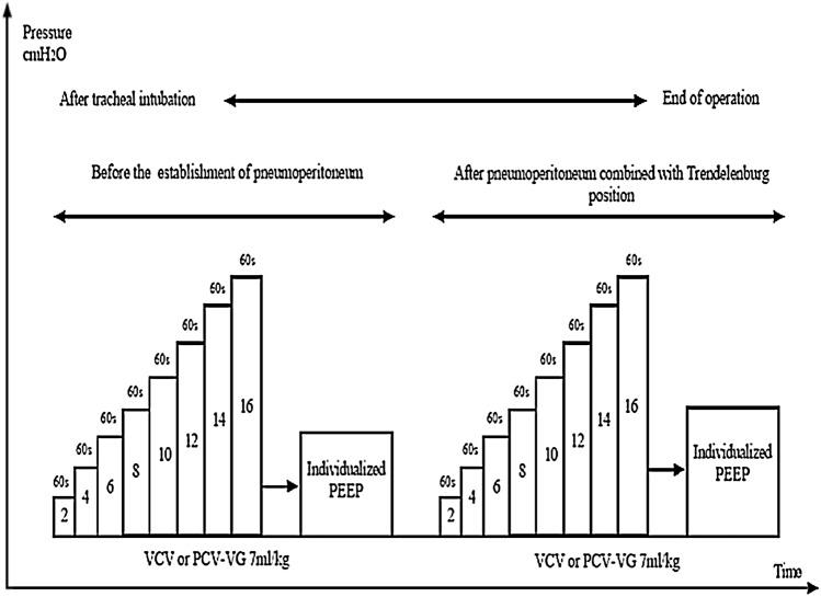 https://cdn.ncbi.nlm.nih.gov/pmc/blobs/f32c/9293798/238d2430e42f/10877_2021_750_Fig1_HTML.jpg