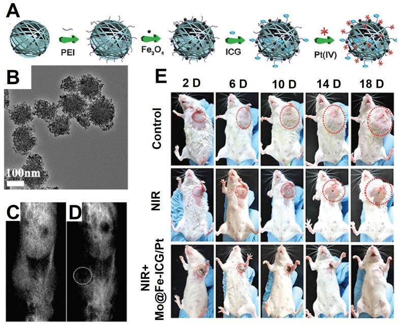 https://cdn.ncbi.nlm.nih.gov/pmc/blobs/f32d/7255022/4ed64190d57f/thnov10p6278g021.jpg