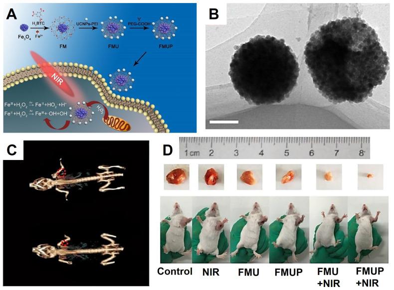 https://cdn.ncbi.nlm.nih.gov/pmc/blobs/f32d/7255022/86b6866c4ed5/thnov10p6278g017.jpg