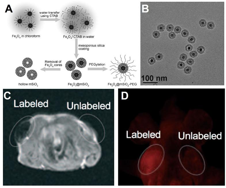 https://cdn.ncbi.nlm.nih.gov/pmc/blobs/f32d/7255022/8bb9ee5a69d7/thnov10p6278g006.jpg