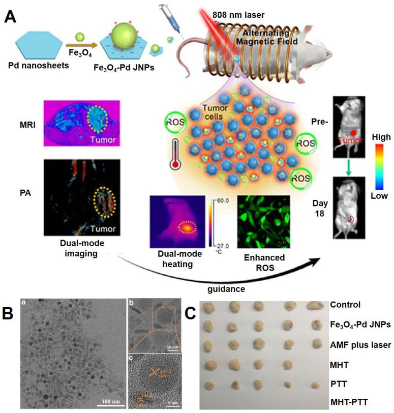 https://cdn.ncbi.nlm.nih.gov/pmc/blobs/f32d/7255022/a3914e30d6db/thnov10p6278g018.jpg