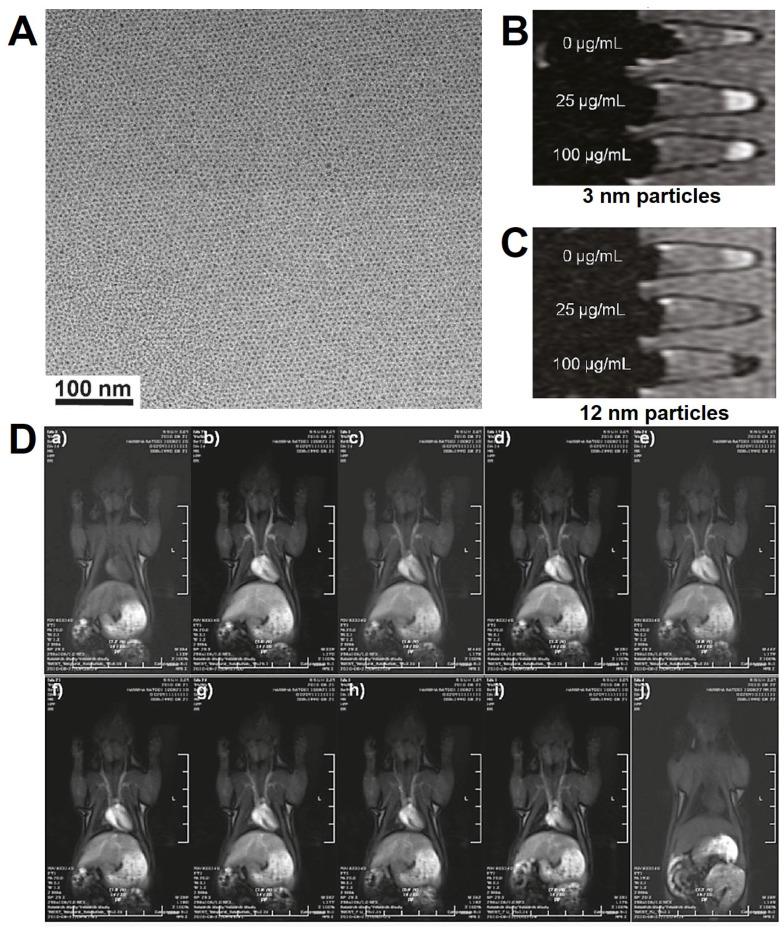 https://cdn.ncbi.nlm.nih.gov/pmc/blobs/f32d/7255022/f03603741e7f/thnov10p6278g012.jpg
