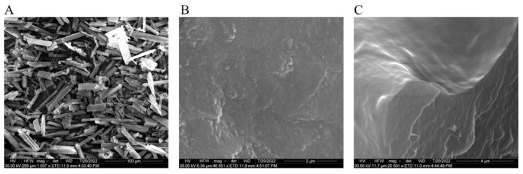 https://cdn.ncbi.nlm.nih.gov/pmc/blobs/f32d/9784557/deba0013e33b/pharmaceutics-14-02817-g006.jpg