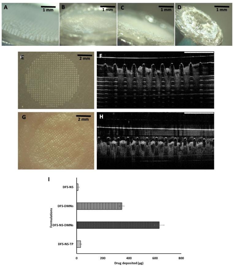 https://cdn.ncbi.nlm.nih.gov/pmc/blobs/f32d/9784557/f142314232fa/pharmaceutics-14-02817-g007.jpg