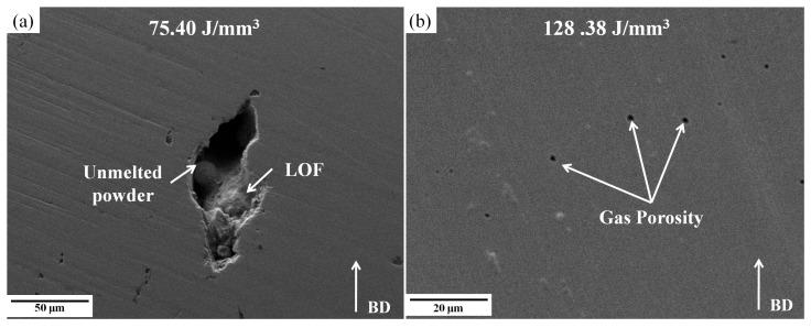 https://cdn.ncbi.nlm.nih.gov/pmc/blobs/f32e/12300098/d2083f20bd0a/materials-18-03343-g005.jpg
