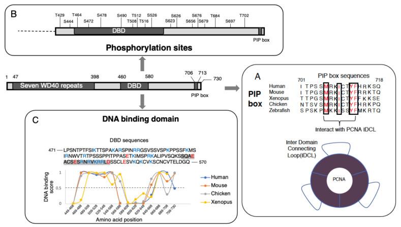 https://cdn.ncbi.nlm.nih.gov/pmc/blobs/f32f/8871960/da89e4183593/genes-13-00266-g005.jpg