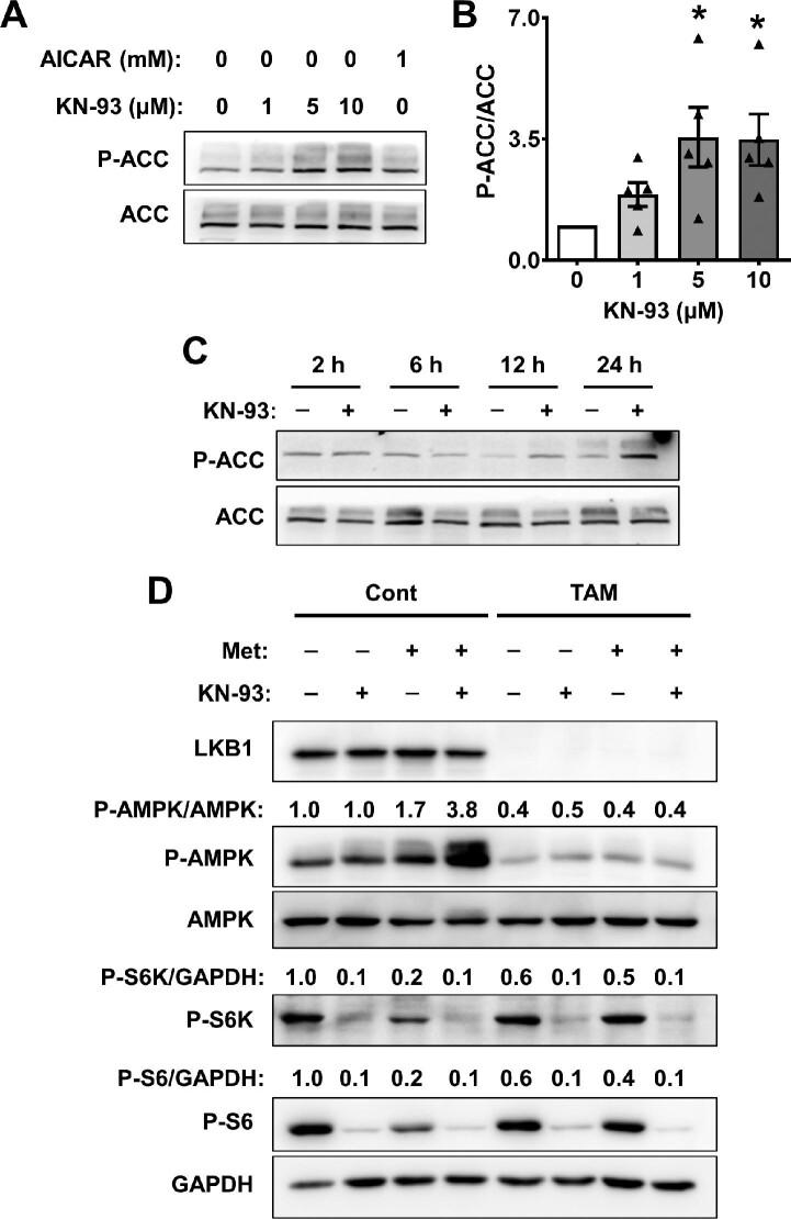 https://cdn.ncbi.nlm.nih.gov/pmc/blobs/f330/9802383/904604800382/mjac050fig4.jpg
