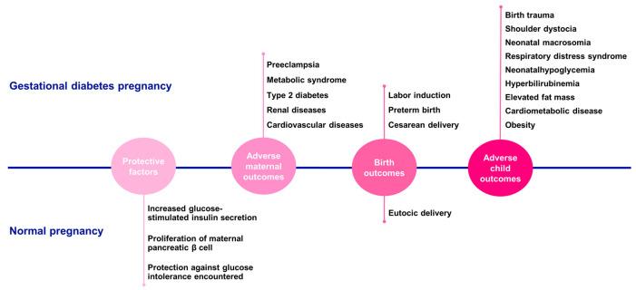 https://cdn.ncbi.nlm.nih.gov/pmc/blobs/f331/12073545/41b3fb138247/nutrients-17-01519-g004.jpg