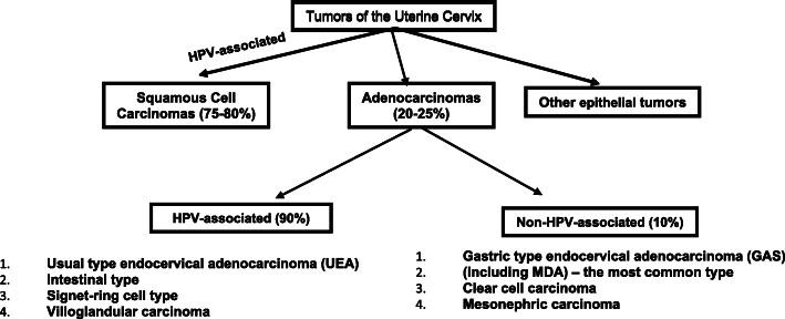 https://cdn.ncbi.nlm.nih.gov/pmc/blobs/f331/8325857/fa0a9319ae65/13000_2021_1129_Fig1_HTML.jpg
