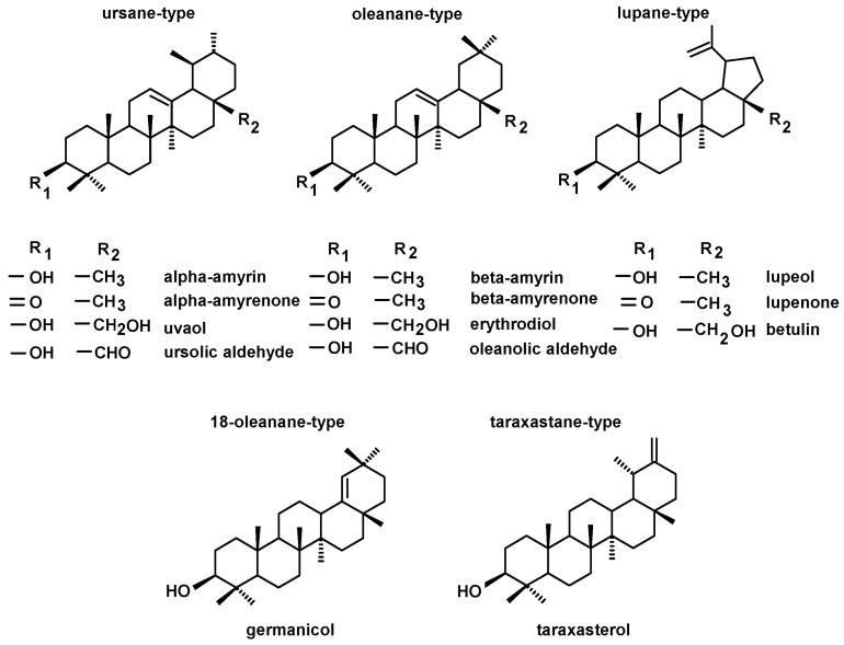 https://cdn.ncbi.nlm.nih.gov/pmc/blobs/f331/9866667/71686f021c5c/molecules-28-00697-g002.jpg