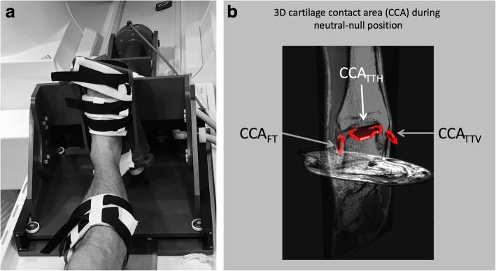 https://cdn.ncbi.nlm.nih.gov/pmc/blobs/f332/7890850/aca940315d98/12891_2021_3998_Fig3_HTML.jpg