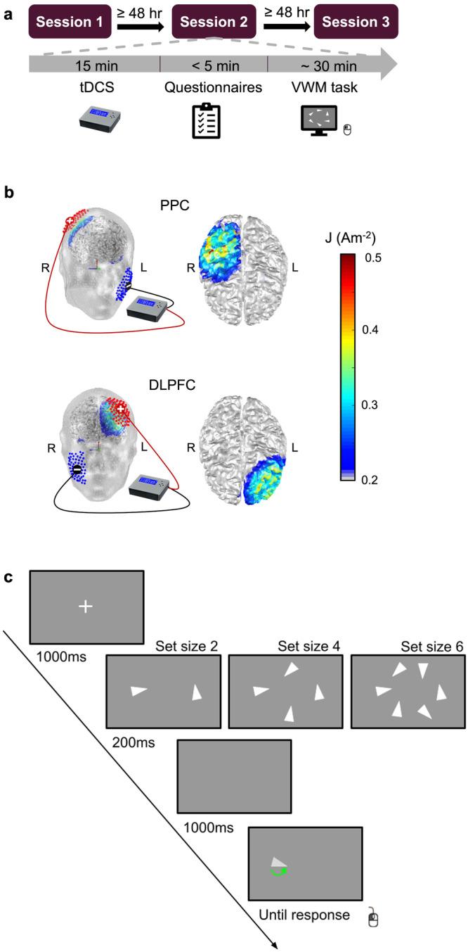 https://cdn.ncbi.nlm.nih.gov/pmc/blobs/f334/11332112/bad3bd3b9873/44271_2024_67_Fig1_HTML.jpg