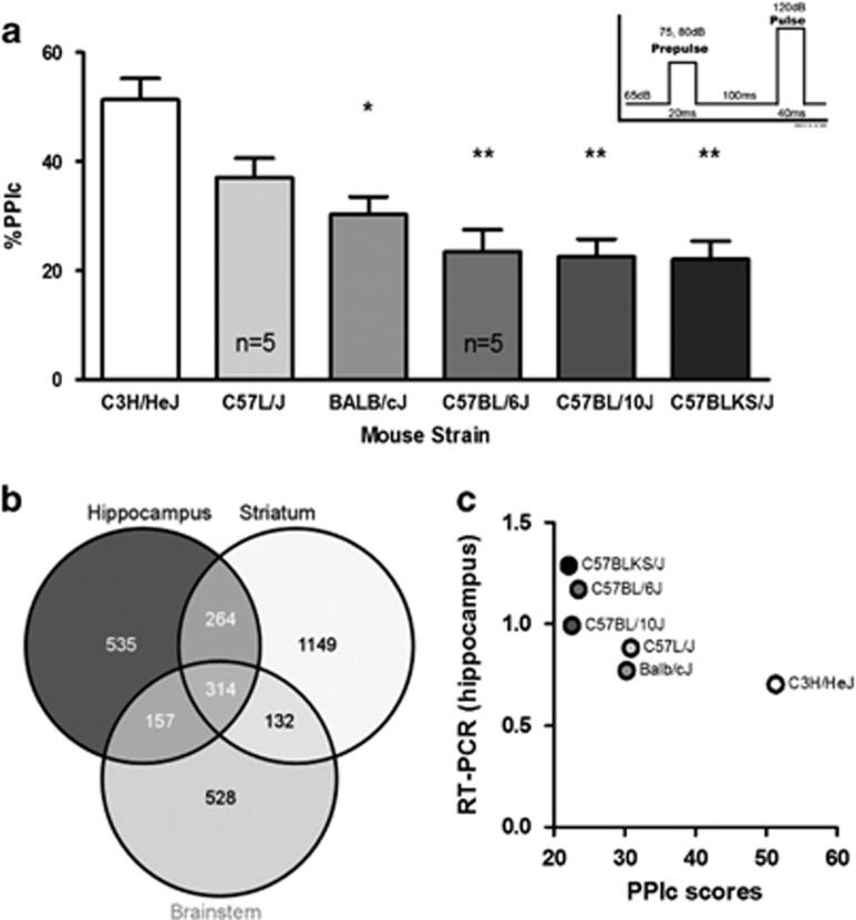 https://cdn.ncbi.nlm.nih.gov/pmc/blobs/f335/5534953/c3805e1ed23e/tp201785f2.jpg