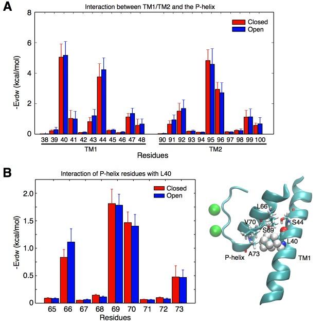 https://cdn.ncbi.nlm.nih.gov/pmc/blobs/f335/5669632/4ba03b449132/elife-25844-fig3.jpg