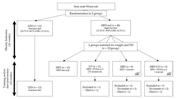 https://cdn.ncbi.nlm.nih.gov/pmc/blobs/f335/7997329/49dd1dc795be/nutrients-13-00788-g001.jpg