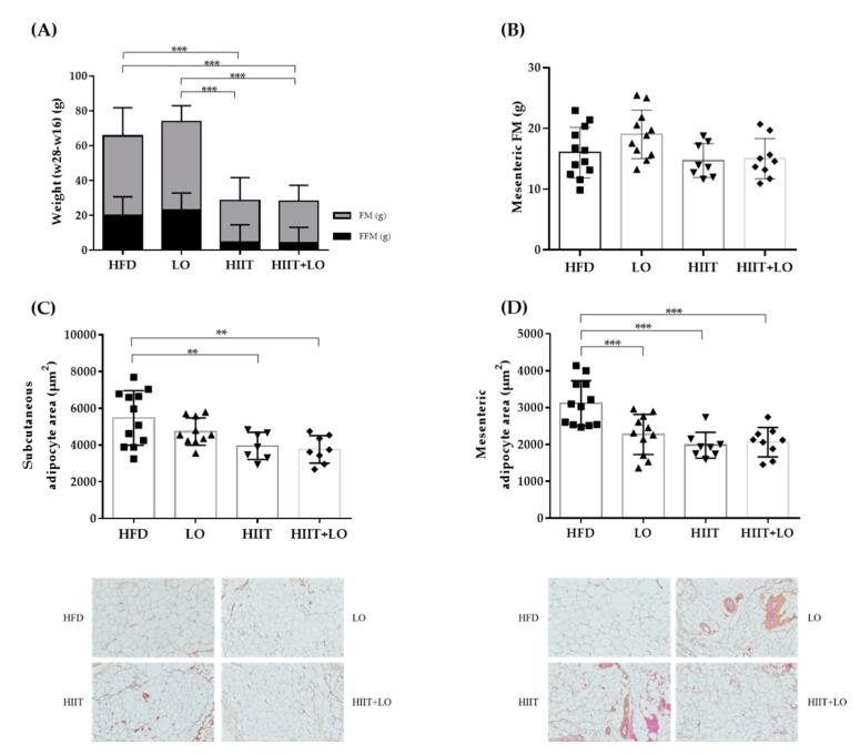 https://cdn.ncbi.nlm.nih.gov/pmc/blobs/f335/7997329/df56142cccc9/nutrients-13-00788-g004.jpg