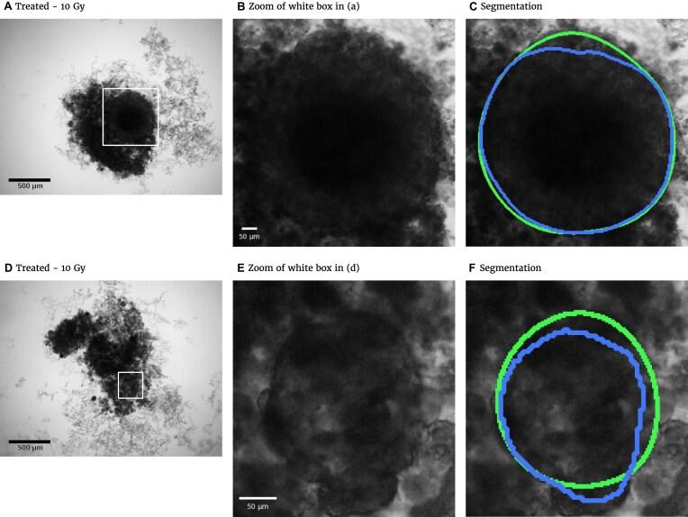 https://cdn.ncbi.nlm.nih.gov/pmc/blobs/f336/12056507/10e542fcdf33/giaf027fig1.jpg