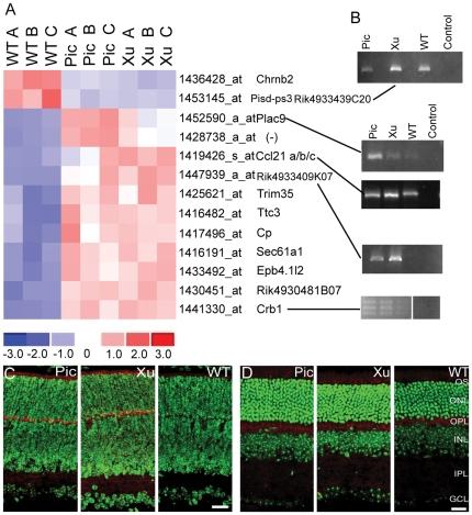 https://cdn.ncbi.nlm.nih.gov/pmc/blobs/f336/3081876/d431f8e7a4d0/pone.0018626.g005.jpg