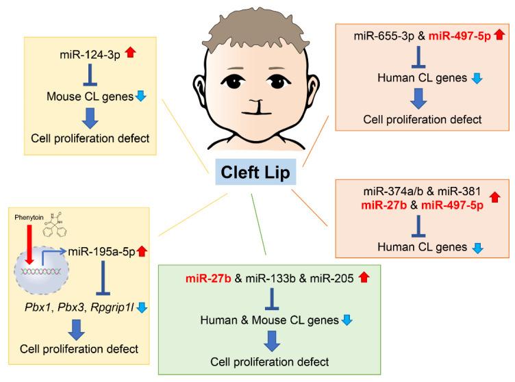 https://cdn.ncbi.nlm.nih.gov/pmc/blobs/f336/9958963/d31cba913c59/ijms-24-03552-g003.jpg