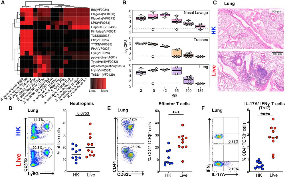 https://cdn.ncbi.nlm.nih.gov/pmc/blobs/f337/7685510/c6a060895fb4/nihms-1643871-f0001.jpg
