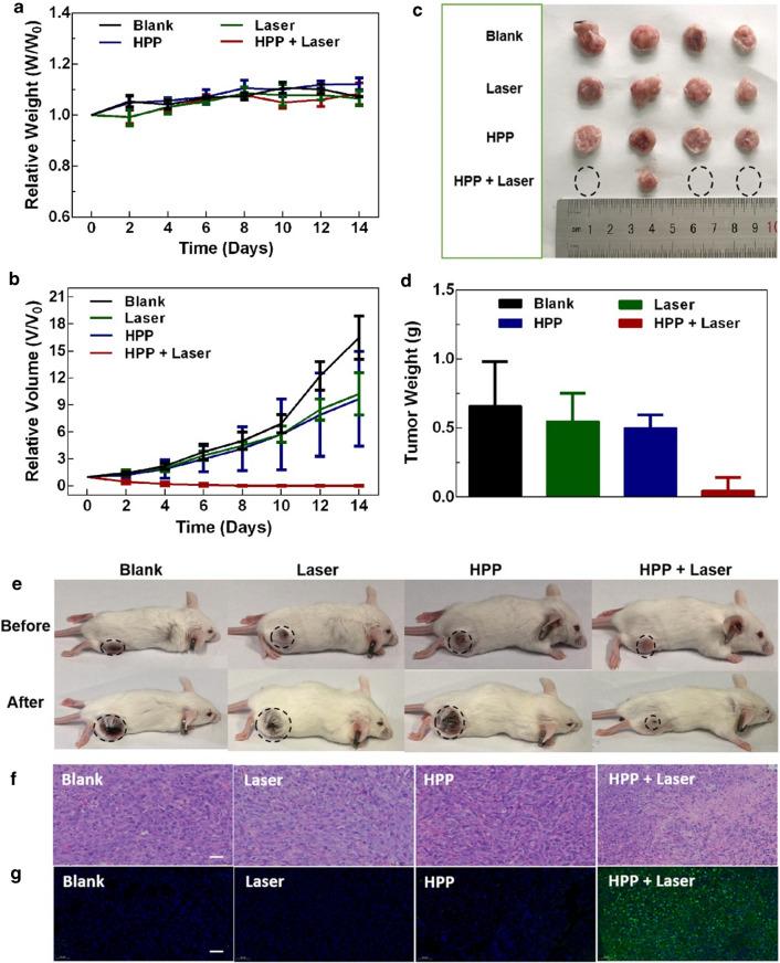 https://cdn.ncbi.nlm.nih.gov/pmc/blobs/f338/8120736/0608f28076b1/12951_2021_884_Fig4_HTML.jpg