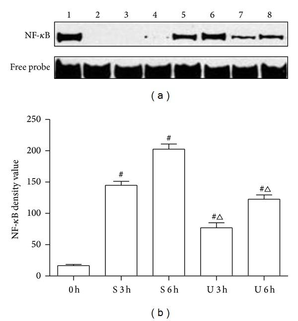 https://cdn.ncbi.nlm.nih.gov/pmc/blobs/f339/4158255/5a3b36880780/GRP2014-858237.003.jpg