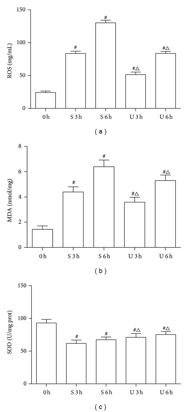 https://cdn.ncbi.nlm.nih.gov/pmc/blobs/f339/4158255/a963e7b91e5c/GRP2014-858237.002.jpg