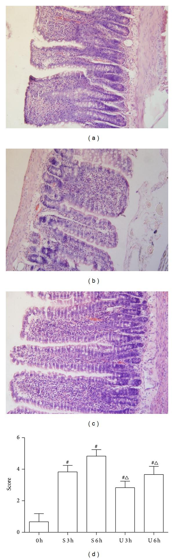 https://cdn.ncbi.nlm.nih.gov/pmc/blobs/f339/4158255/fe3e284ec92c/GRP2014-858237.005.jpg