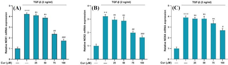 https://cdn.ncbi.nlm.nih.gov/pmc/blobs/f33d/10994637/8c776b095ef8/ibj-28-31-g003.jpg