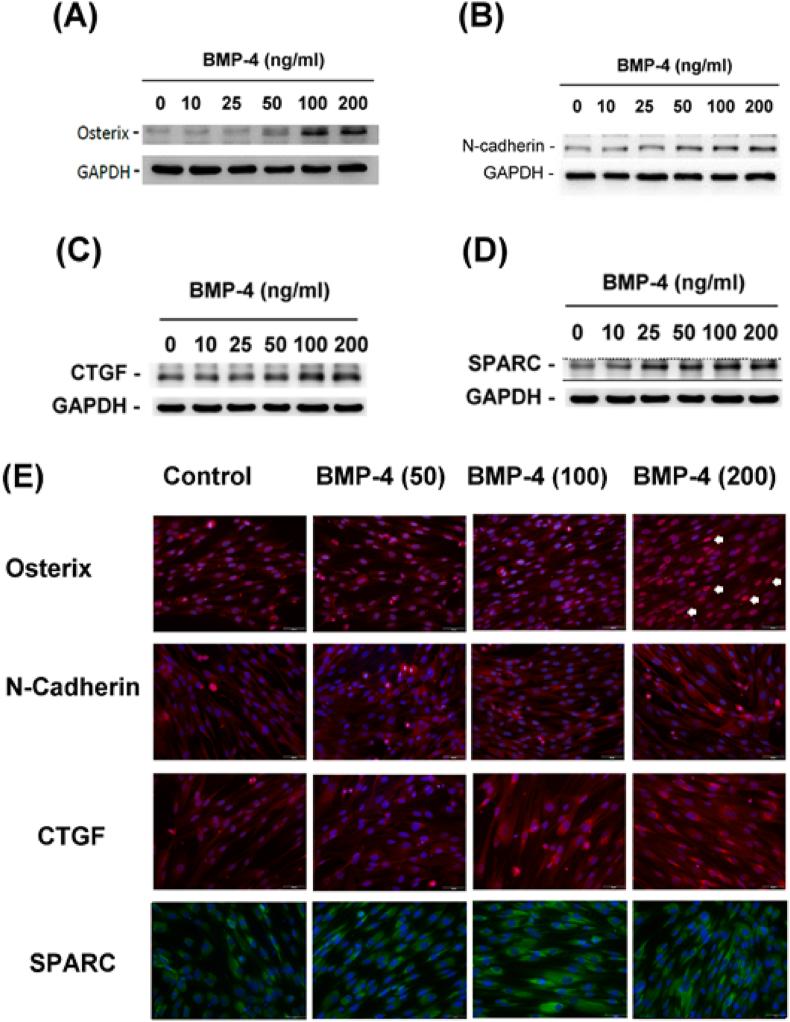 https://cdn.ncbi.nlm.nih.gov/pmc/blobs/f340/11762932/9e0a1aa0c66a/gr2.jpg
