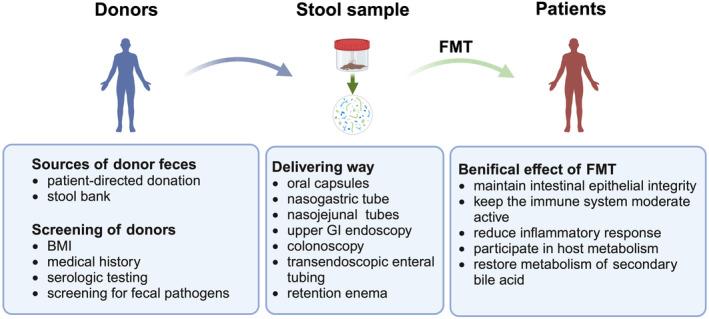 https://cdn.ncbi.nlm.nih.gov/pmc/blobs/f340/11883108/19674be97124/BTM2-10-e10728-g001.jpg