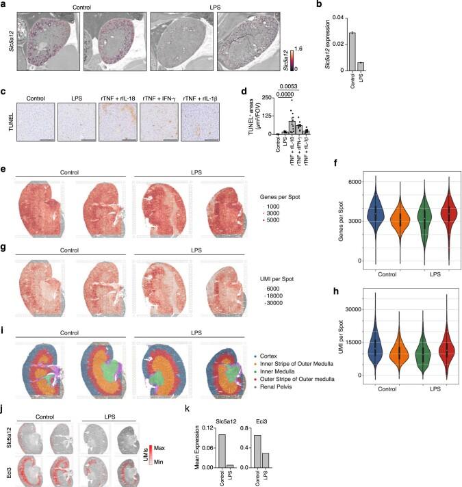 https://cdn.ncbi.nlm.nih.gov/pmc/blobs/f341/10834370/31b94e8a5713/41590_2023_1722_Fig16_ESM.jpg