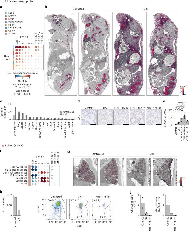 https://cdn.ncbi.nlm.nih.gov/pmc/blobs/f341/10834370/8d2764fb87cc/41590_2023_1722_Fig7_HTML.jpg