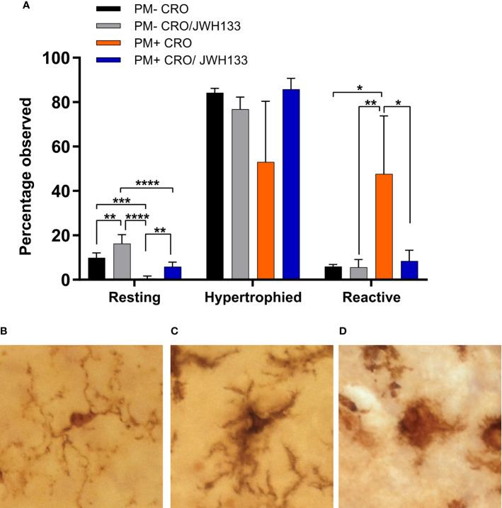 https://cdn.ncbi.nlm.nih.gov/pmc/blobs/f341/7674855/c341de31575f/fcimb-10-588195-g004.jpg