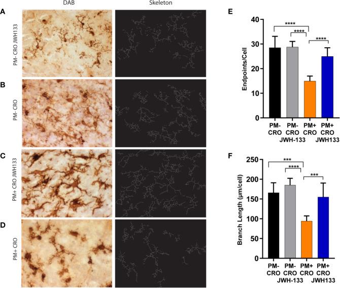 https://cdn.ncbi.nlm.nih.gov/pmc/blobs/f341/7674855/f8d462f7fef9/fcimb-10-588195-g003.jpg